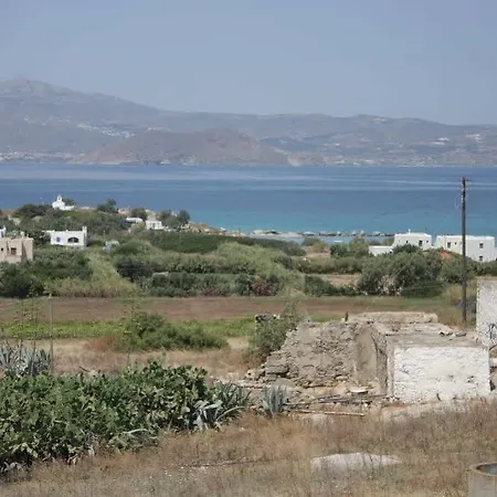 Kapares *