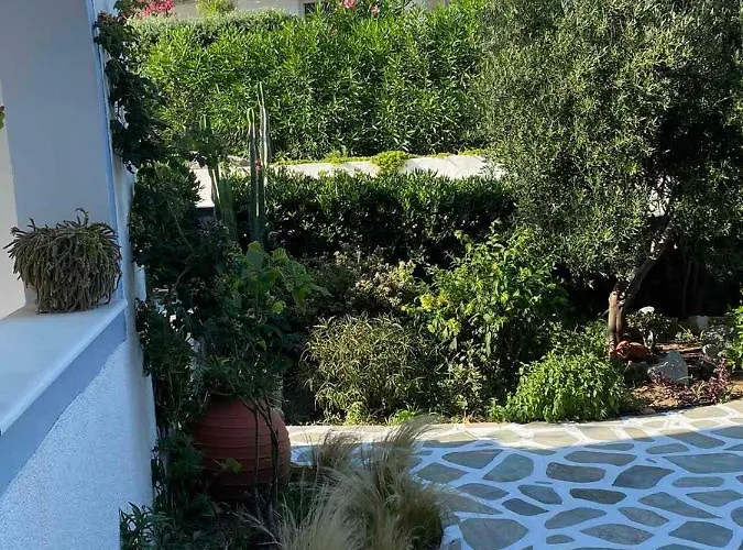 Διαμέρισμα καπαρές ενοικιαζόμενα Αγία Άννα